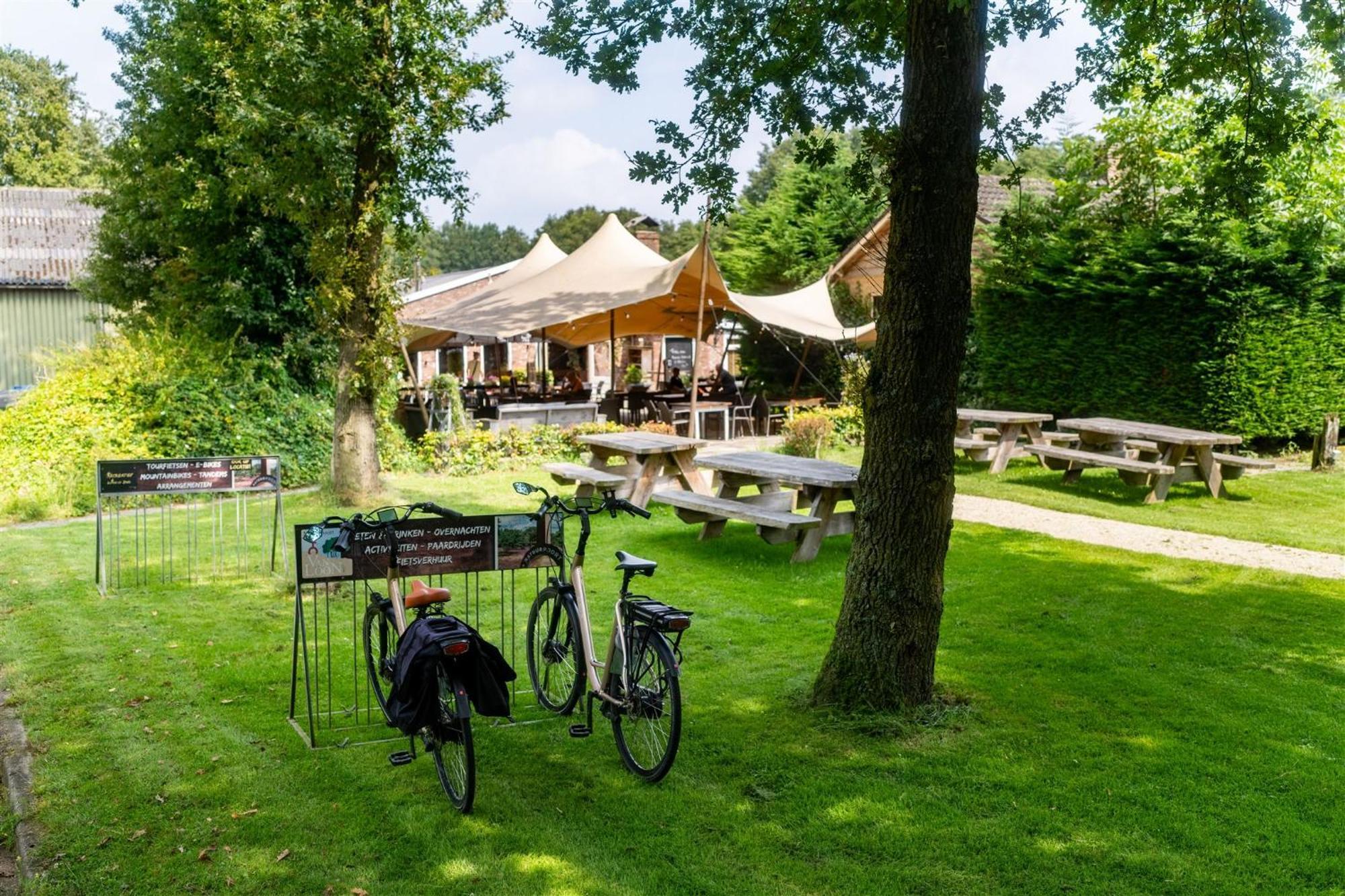 Natuurpoort Van Loon Loon op Zand Dış mekan fotoğraf