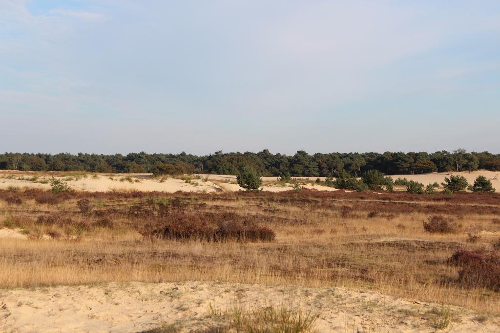 Natuurpoort Van Loon Loon op Zand Dış mekan fotoğraf