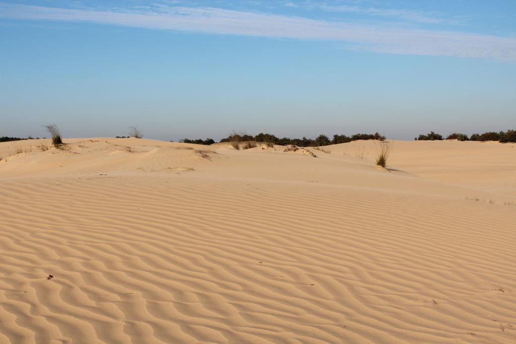 Natuurpoort Van Loon Loon op Zand Dış mekan fotoğraf